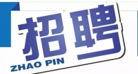 岱岳區(qū)政務服務中心招人啦！大專以上學歷，即日起報名
